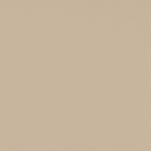 macadamia 4007