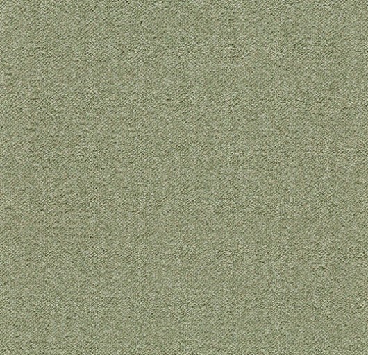 fern 3627