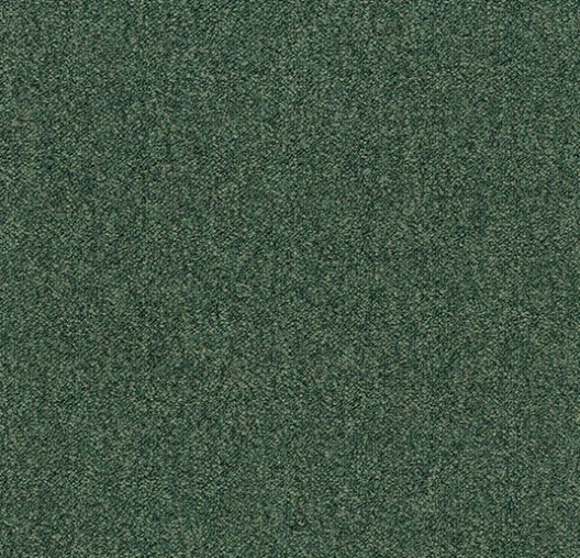 ivy 3629