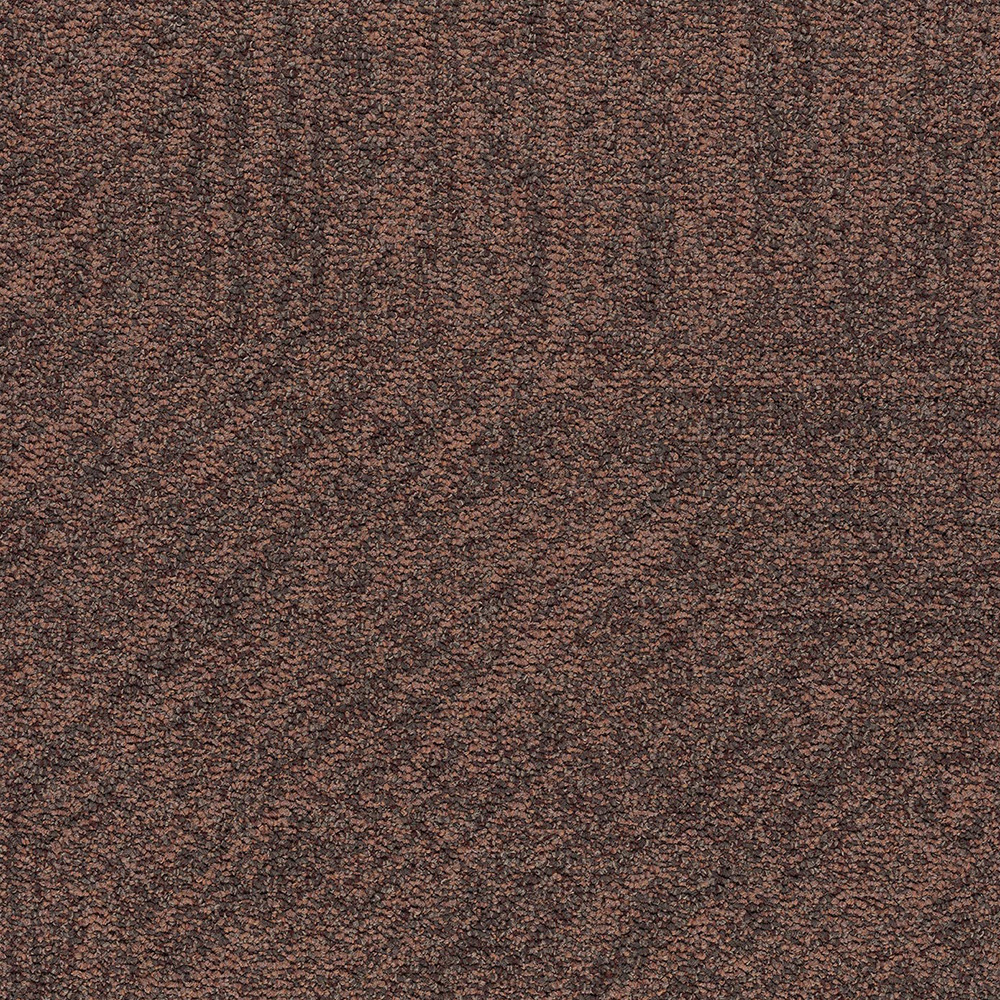 pecan path 4912