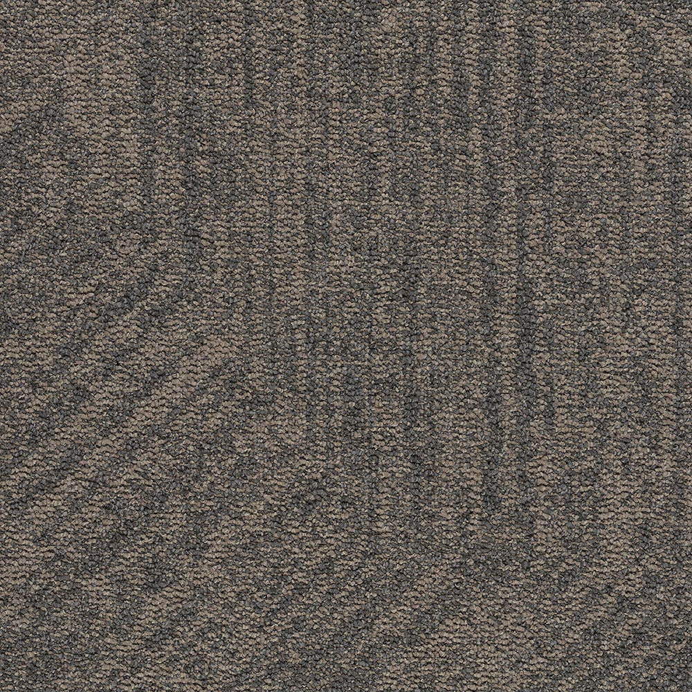 truffle point 4904
